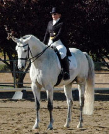 Dressage Trainer & Judge