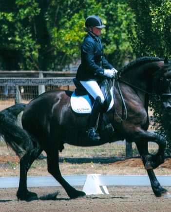 Dressage Trainer