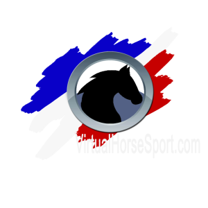 Virtual Horse Sport Logo